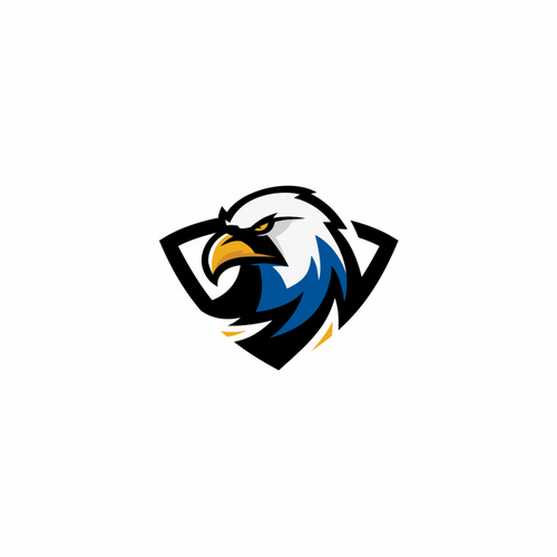 Embry Riddle Esports Logo