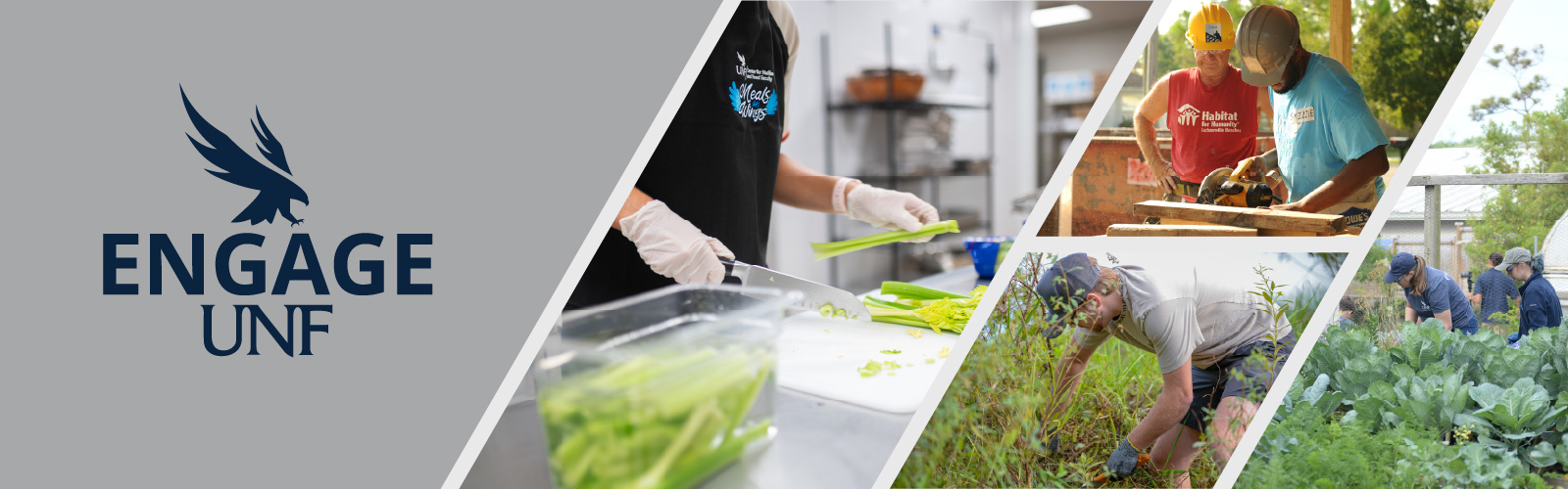engage unf volunteers chopping celery, building a house, weeding and working in a garden