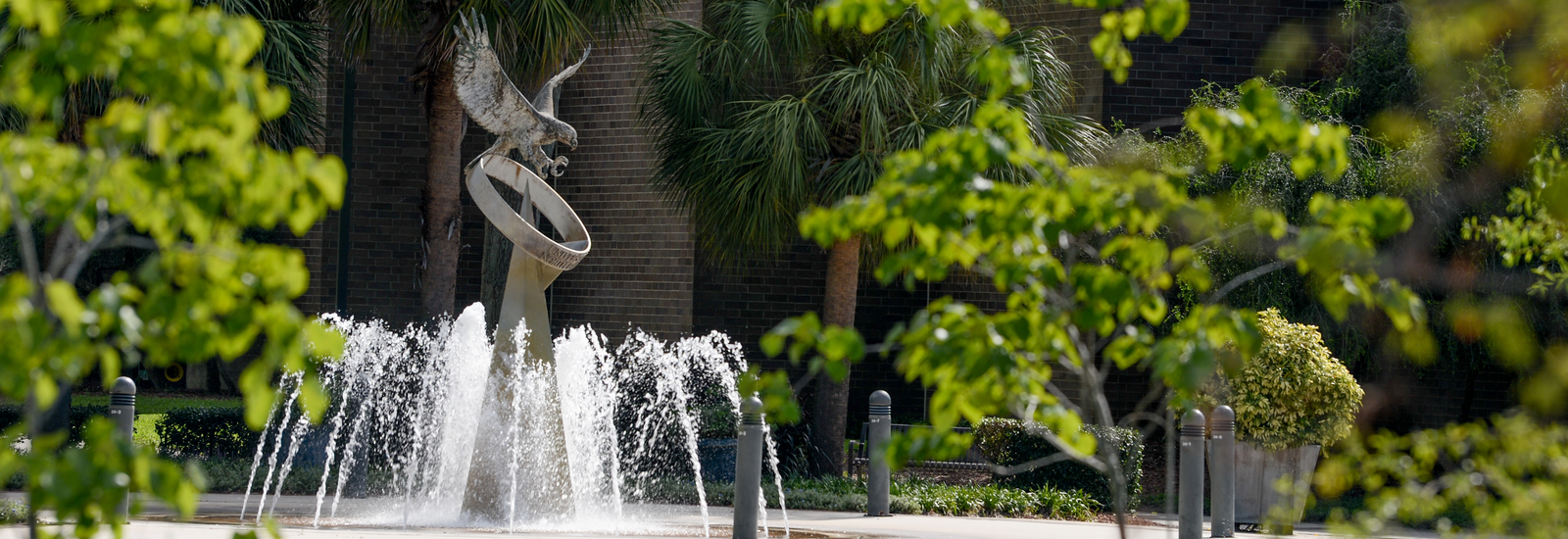 UNF Fountain surrounded by greenery