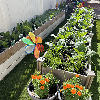 garden bed with pots and windmills