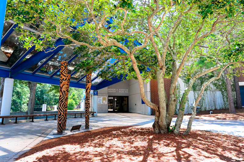 entrance to robinson theater