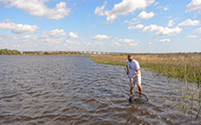researcher standing in the water of the wetlands