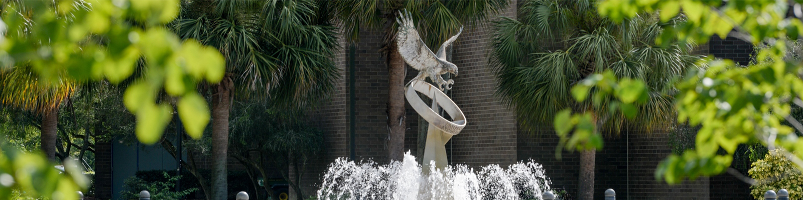 Osprey Fountain and trees