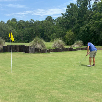 golf player putting on the green