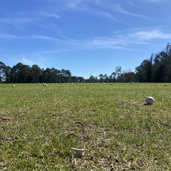 golf balls on UNF driving range