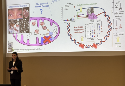 Sophia Cochran speaks to an audience in front of a large projected slide on mitochondrial disorders and mtDNA damage, sponsored by the NIH.