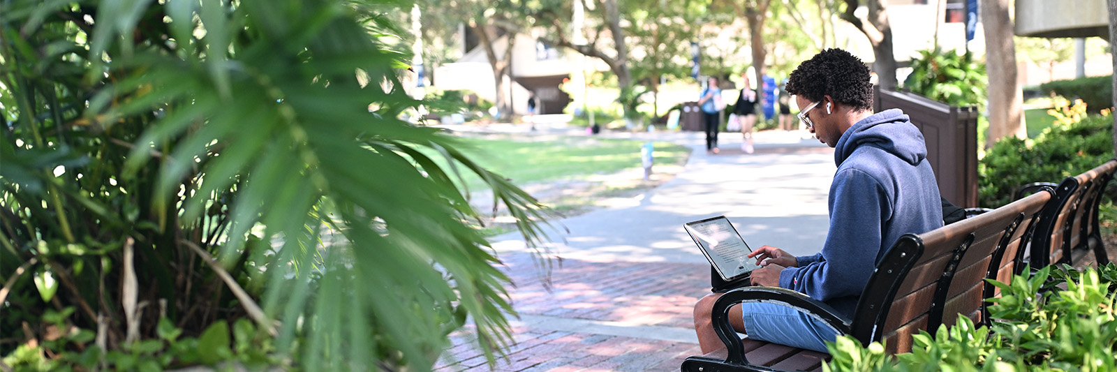 Student on laptop on a bench outside
