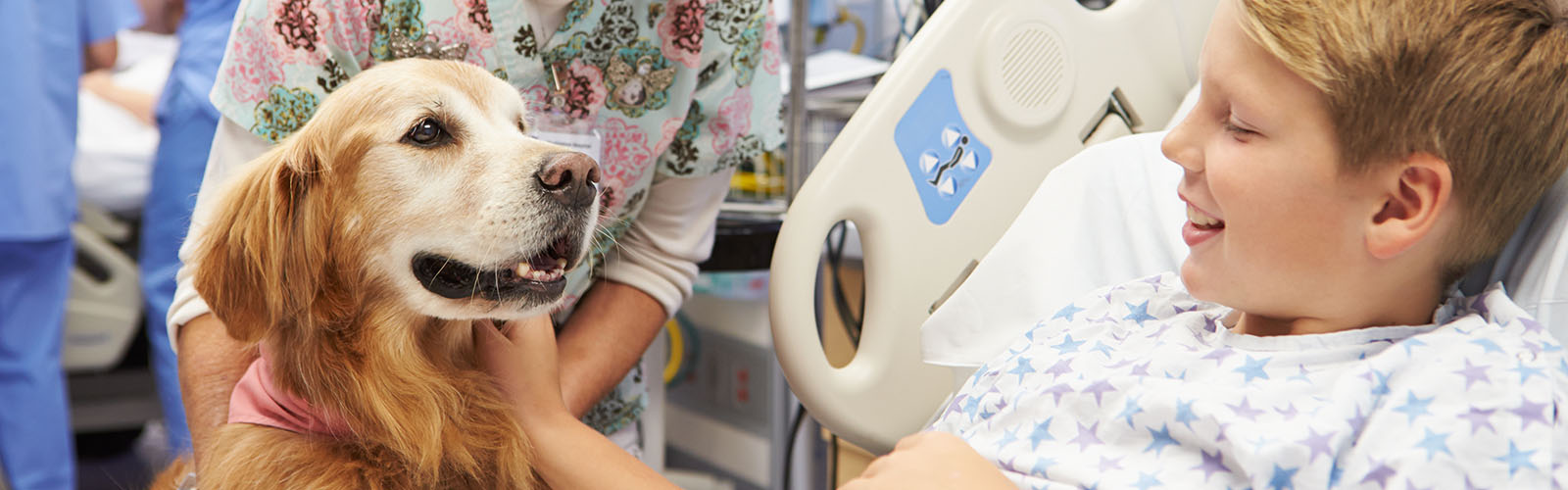 therapy dog visiting a boy in the hospital