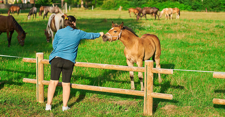 a woman petting the nose of a horse