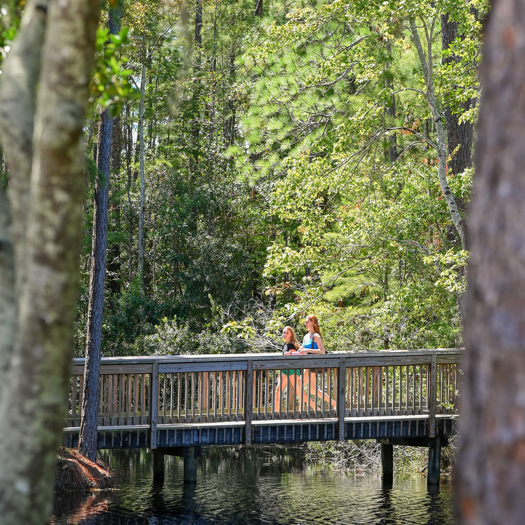 Students walking on a wooden bridge over water surrounded by trees