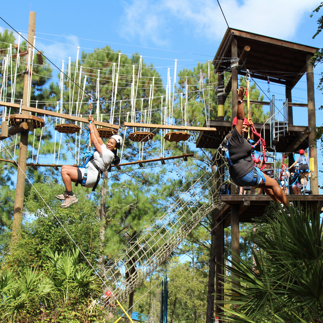 A family ziplines at eco adventure during Honors Family Weekend. 