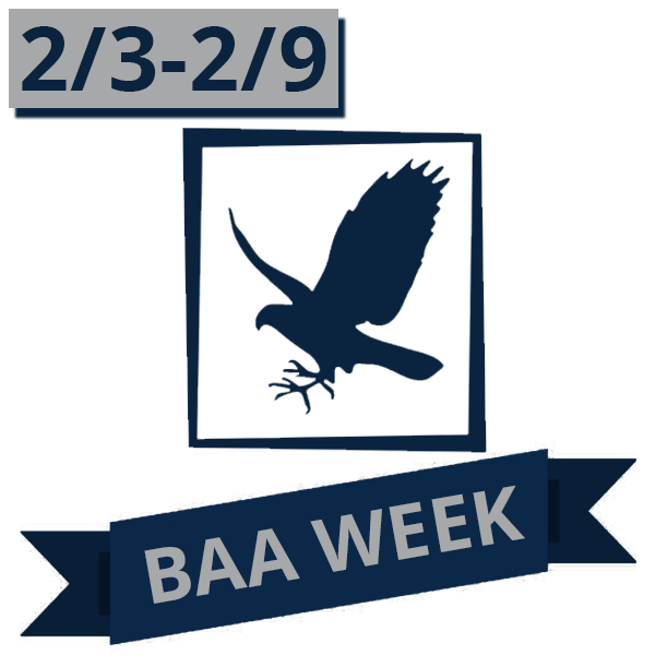 BAA Icon