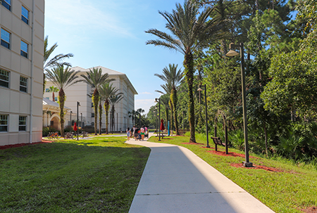 Students moving into Osprey Fountains on a gorgeous day
