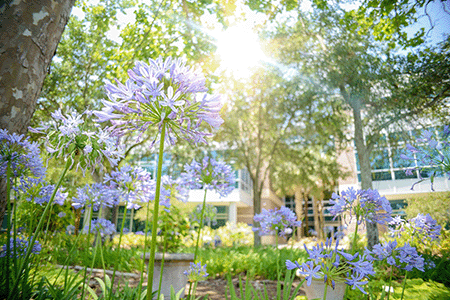 Spring at UNF