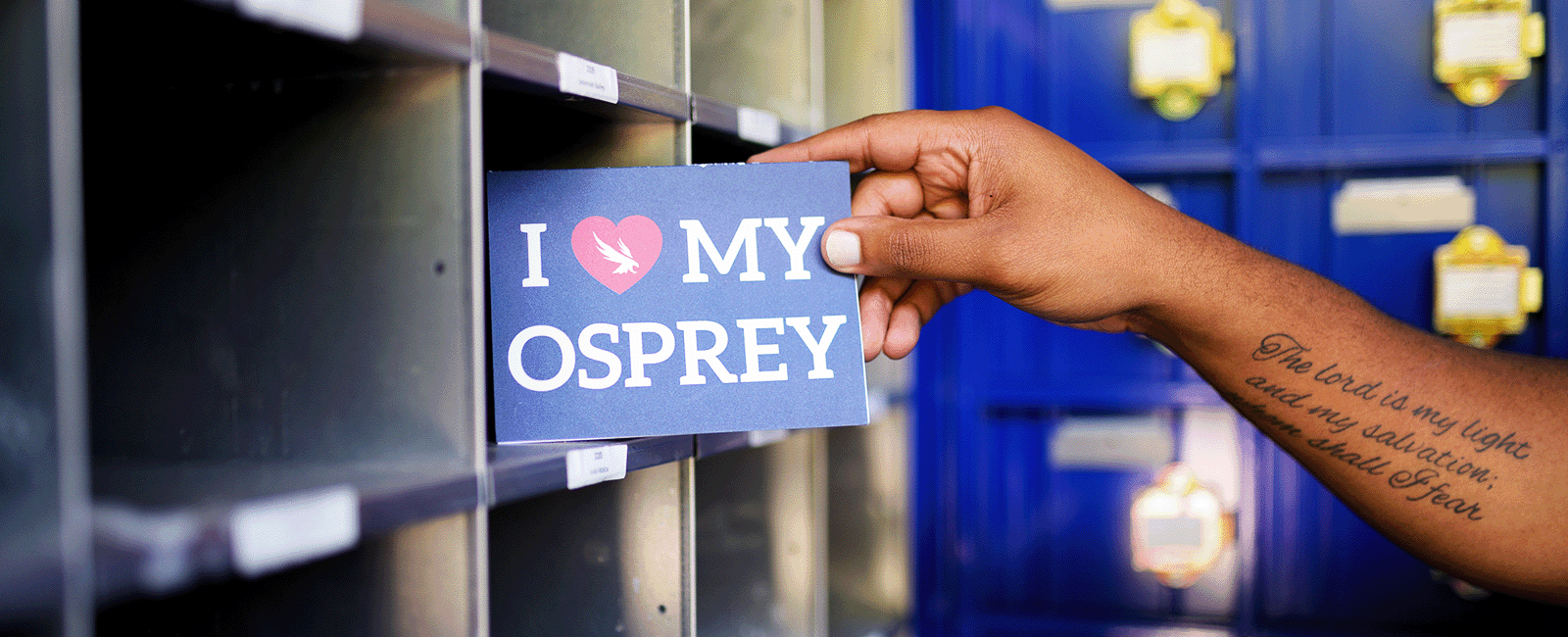 A card that says I love my Osprey in Housing mailbox