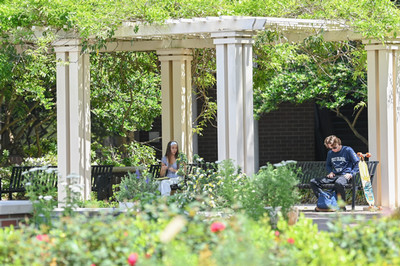 Students-at-bench-greenery