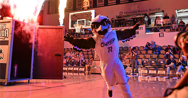 Ozzie running out of a north florida box during homecoming with celebratory fire