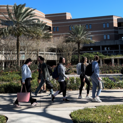 photo outside of building of students walking on side walk with palm trees in the background