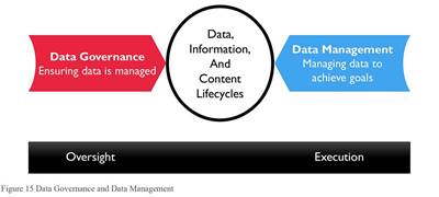 Oversight and execution of data information and content lifecycles