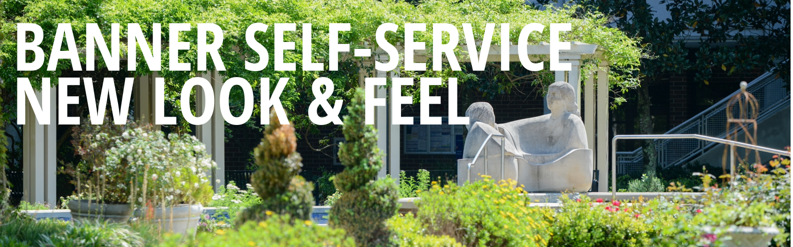 Banner Self-Service New Look and Feel