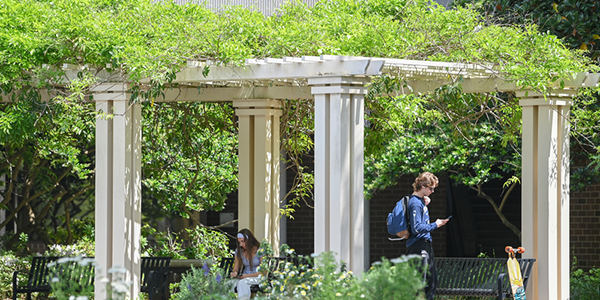 Student walking through a campus garden