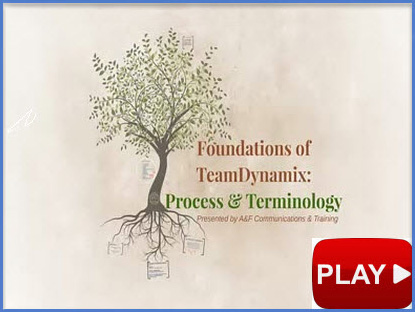 Process &amp; Terminology  Video Cover