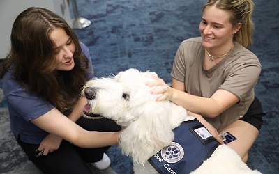 Two female students petting a white therapy dog