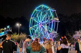 Carnival Ferris Wheel