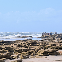 A class gathered on rock near shoreline