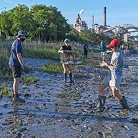 Students working in water on coastline project