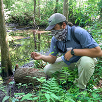 Graduate Student Silas Tanner in the Sawmill Slough Preserve