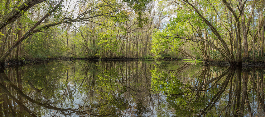 Creek Split by photographer Doug Eng