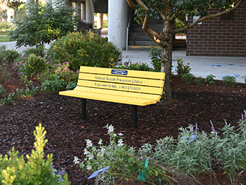 a yellow bench inside the Healing Garden