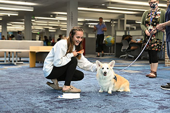 Campus Canine dog and girl in UNF library
