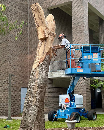 Chainsaw artist carving tree