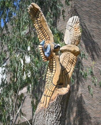 Tree carving on UNF campus