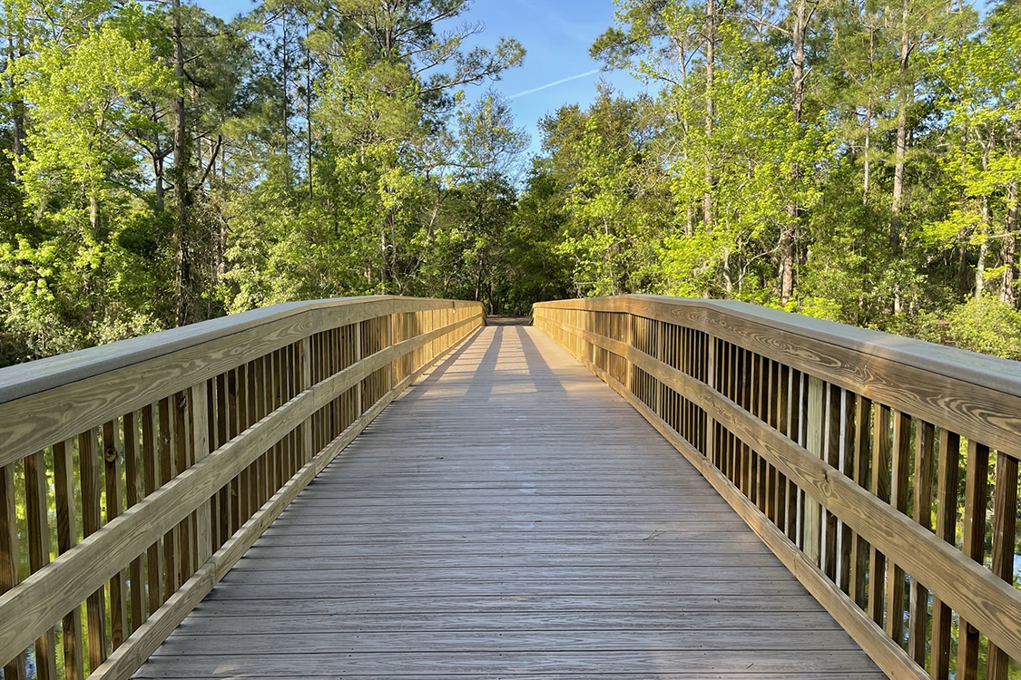 UNF Eco Adventure Boardwalk