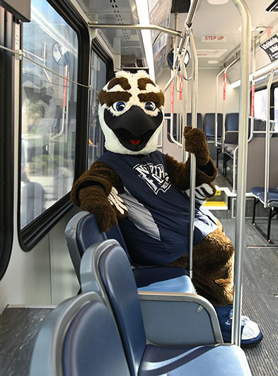 Ozzie sitting inside of a shuttle bus