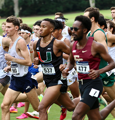 Cross Country runners running a course