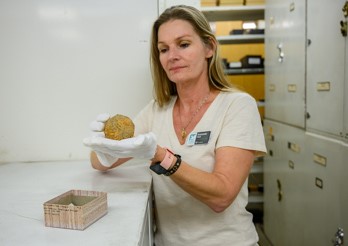 Dr. Amanda Hall holding a specimen