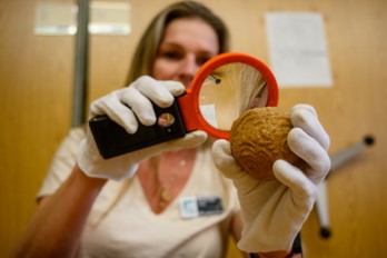 Dr. Amanda Hall using a magnifying glass to view a specimen