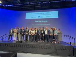 The Big Reveal DSSG