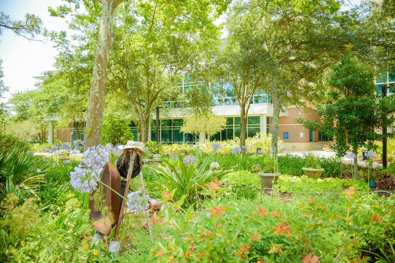 UNF garden near the College of Education and Human Services