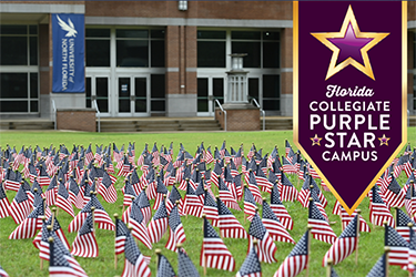 florida collegiate purple star campus American flags on the ground in front of the Fine Arts Center