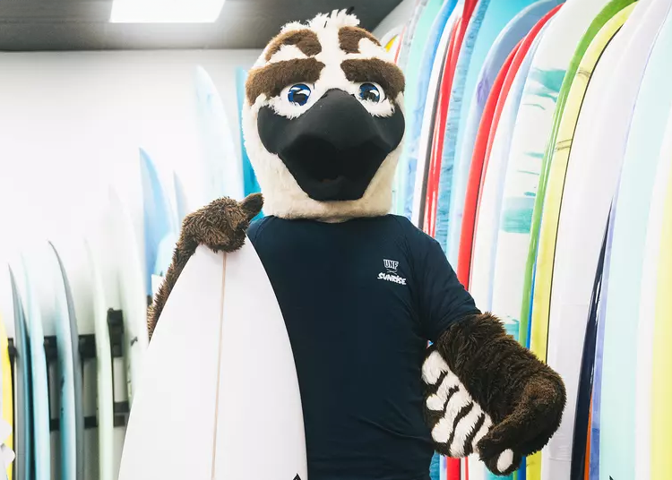 Ozzie surrounded by surfboards inside Sunrise Surf Shop