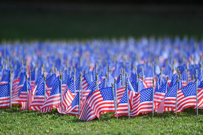 Group of mini American flags planted in the ground