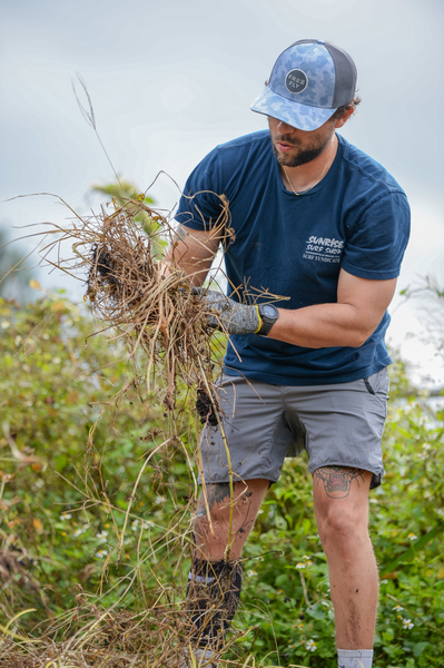 UNF Swoop Into Service volunteer holding plant roots