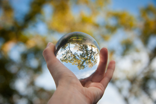 Hand holding a clear glass ball reflecting trees