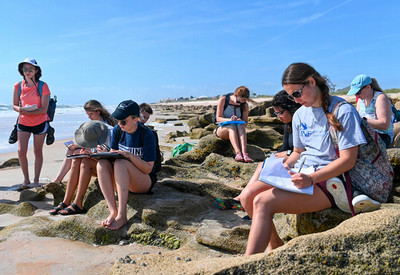 UNF students writing in notebooks sitting on a coastline