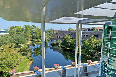 View of the UNF campus from the library's 4th floor balcony